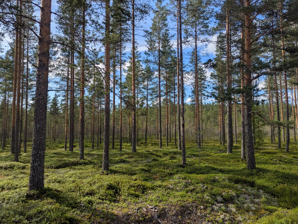 13. Finland, the Baltics and an impending visa&nbsp;expiry